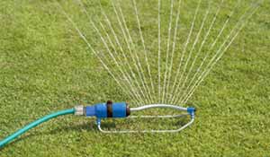 Water your lawn if it needs it