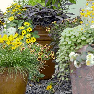 container garden 300x300 image