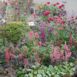 cottage garden 300x300 image