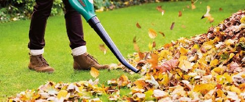 Care for your lawn in autumn