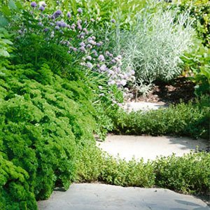 relaxed garden style 300x300 image