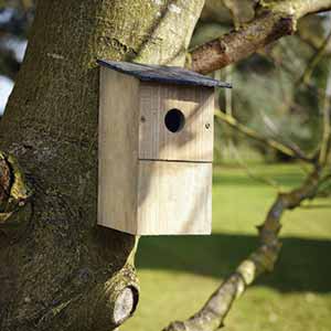 Bird boxes