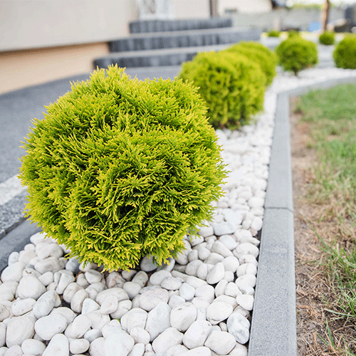 white stone lawn edging