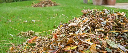 How to maintain your lawn in winter