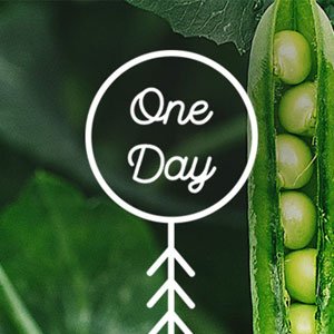 1 day edible garden 300x300 image