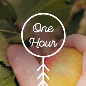 1 hour edible garden 300x300 image