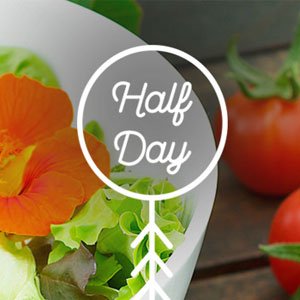 half a day edible garden 300x300 image