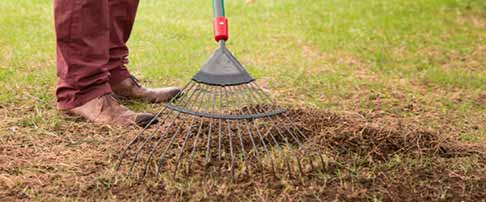 How to maintain your lawn in winter