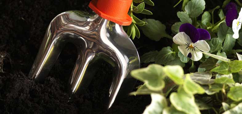 A guide to getting rid of weeds