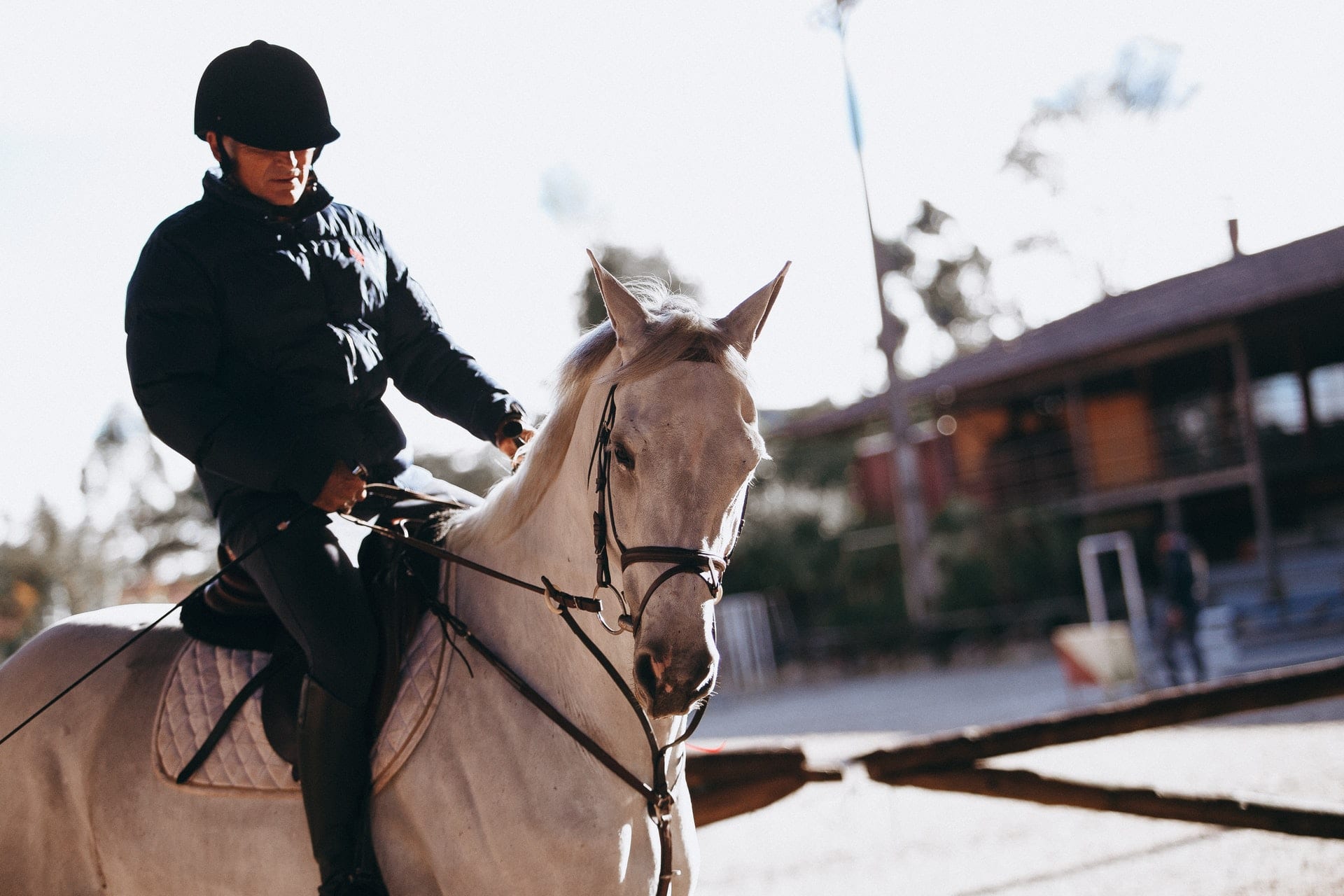 Adult riding a horse