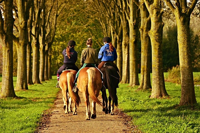 Girls riding horses