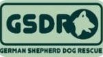 German Shepherd Dog Breed Guide