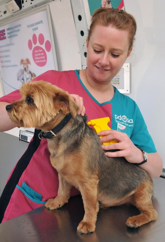 New Microchipping Law for April 2016 Preloved UK