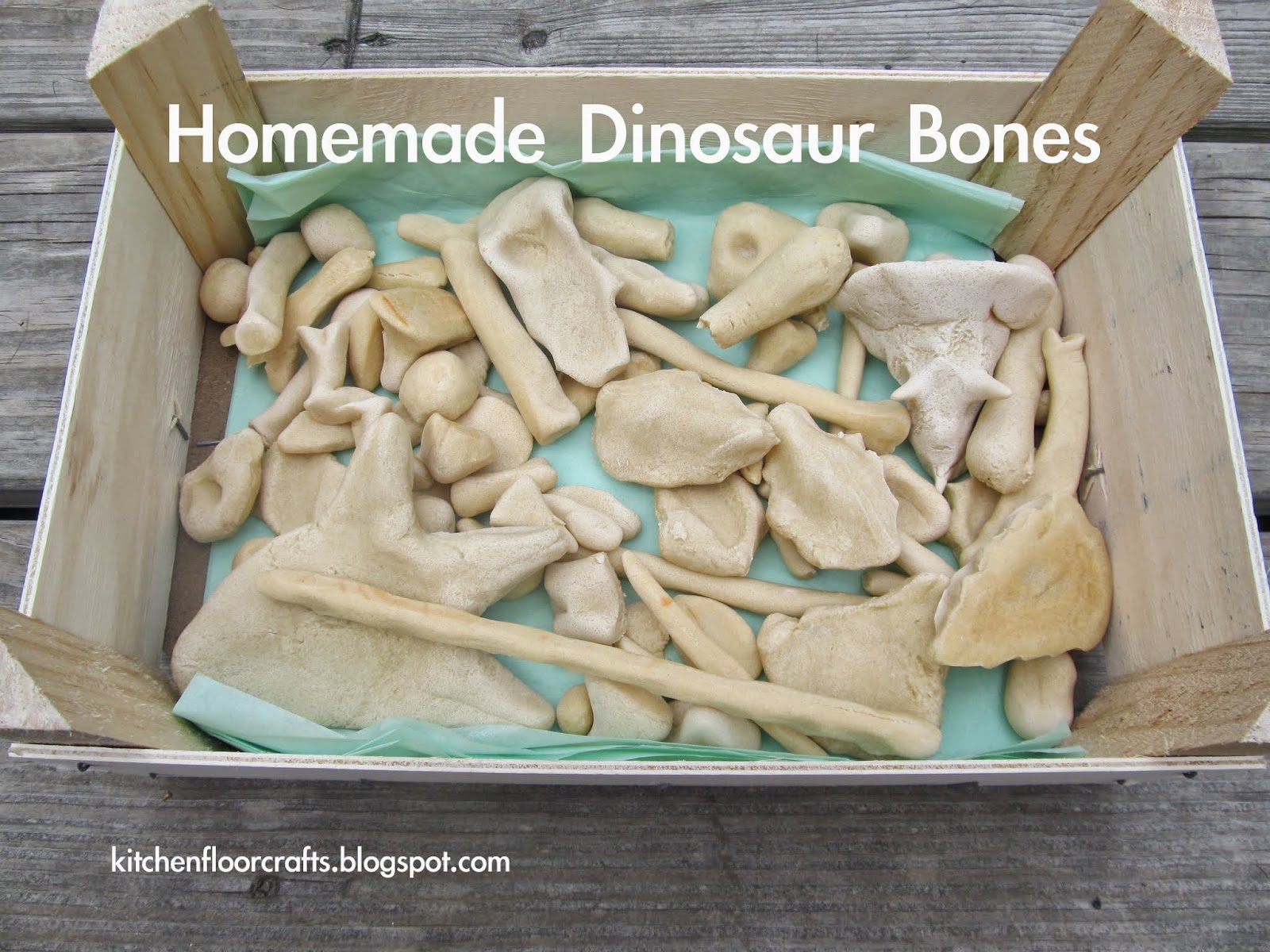 6. dino bones