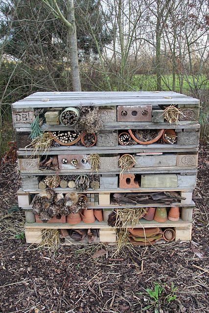 4. bug hotel