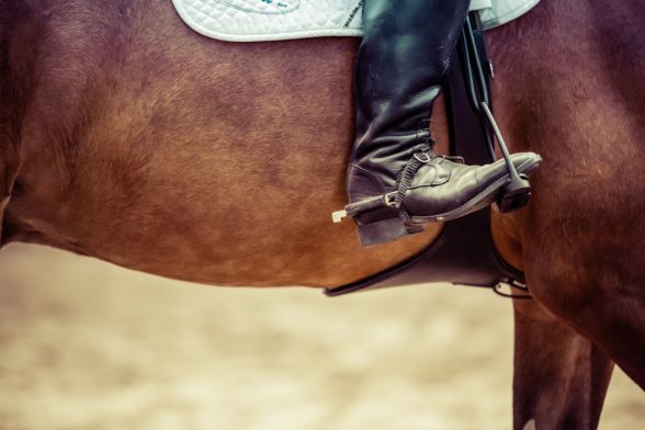 Dressage: An Equine History