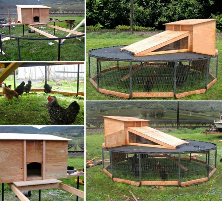 Thrifty Chicken Coop Ideas Preloved UK