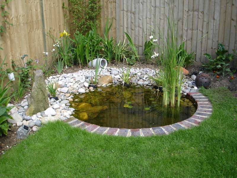 Ponds for Small Spaces - Preloved UK