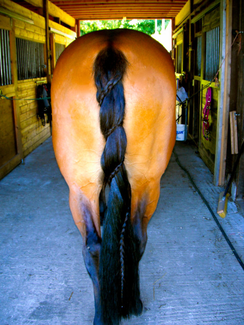 DIY Horse Mane Diamond Braid 