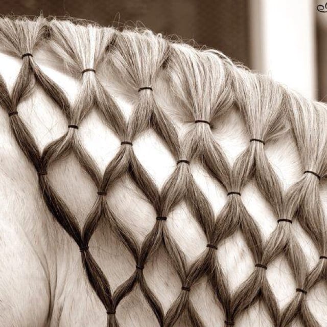 4 Ways to Braid Your Horse's Mane - Preloved UK