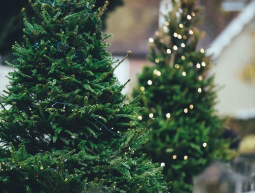 The Eternal Christmas Battle – Real Tree vs Artificial Tree