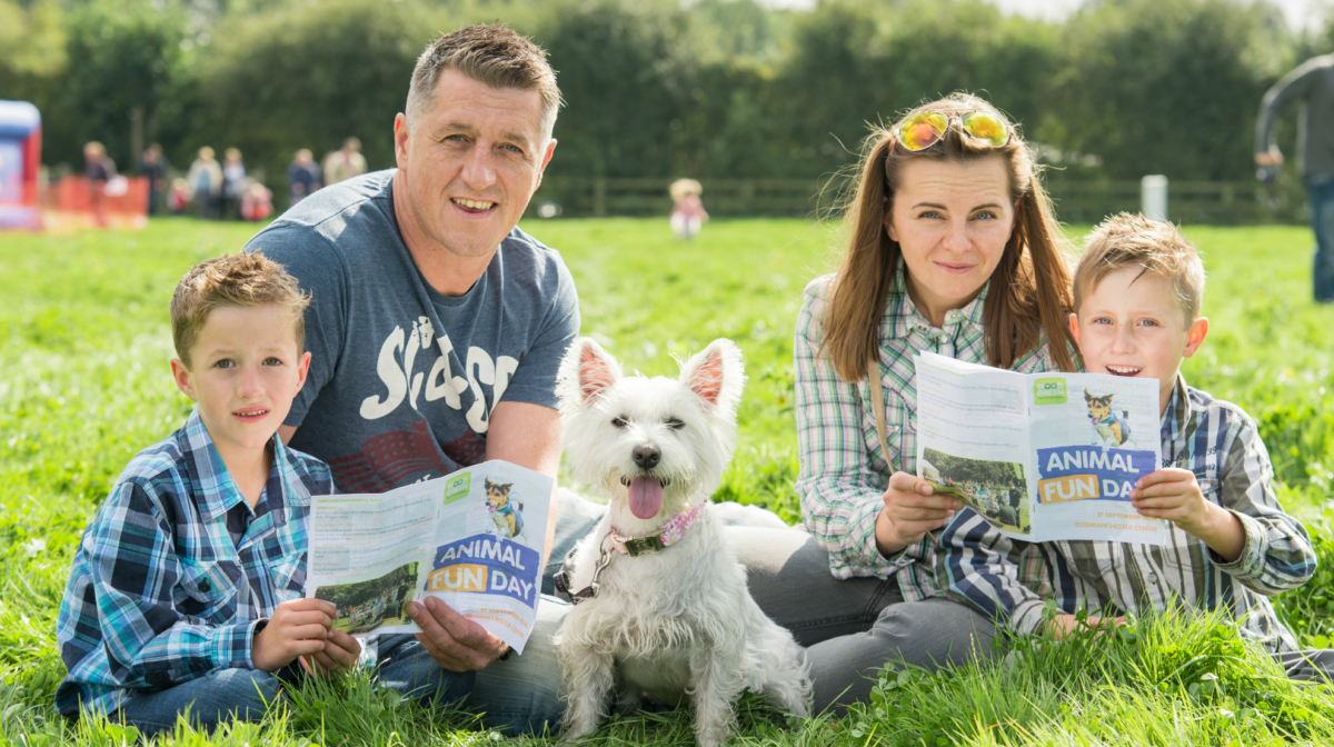 How to Give a New Rescue Dog a Happy Home Preloved UK