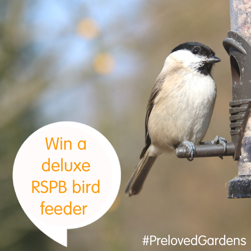Win a RSPB Deluxe bird feeder by sharing a snap of your garden with #PrelovedGardens1 (2)