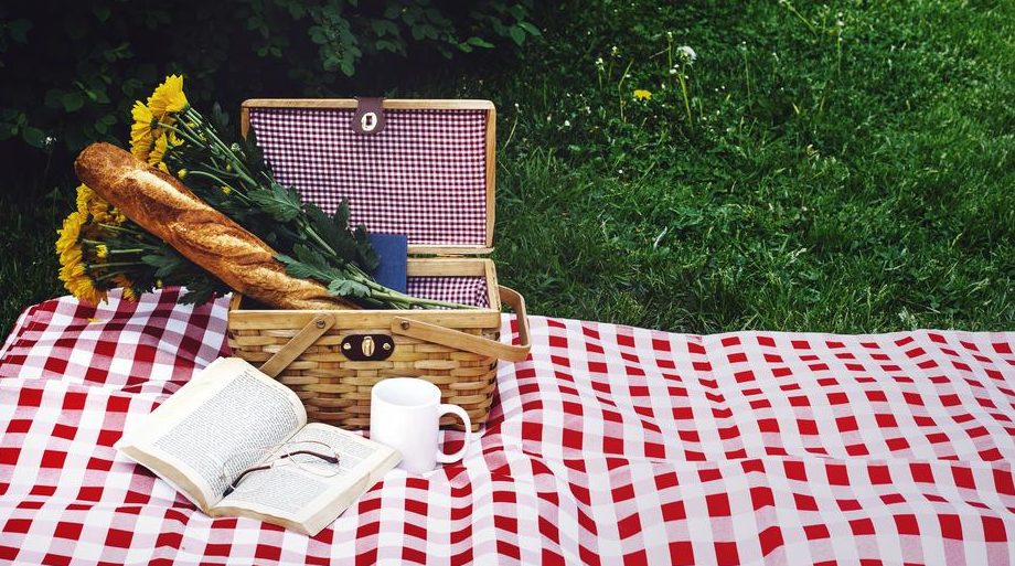 picnic tips