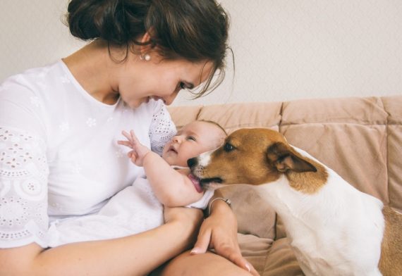 9 Ways To Introduce Your Dog To Your New Baby