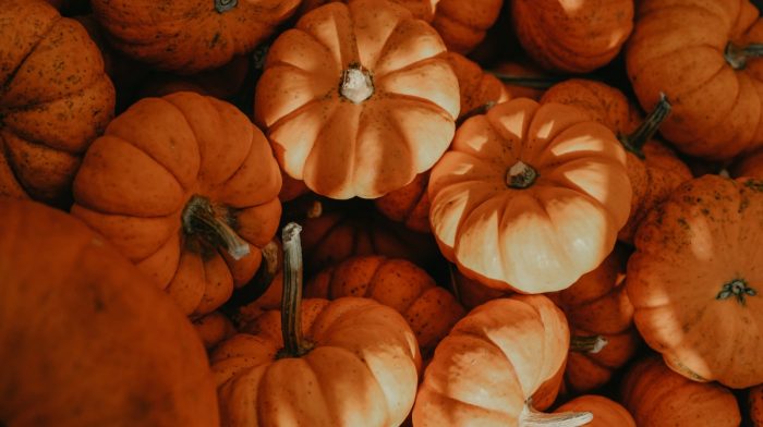 Preloved's Guide to Uses for Leftover Pumpkin