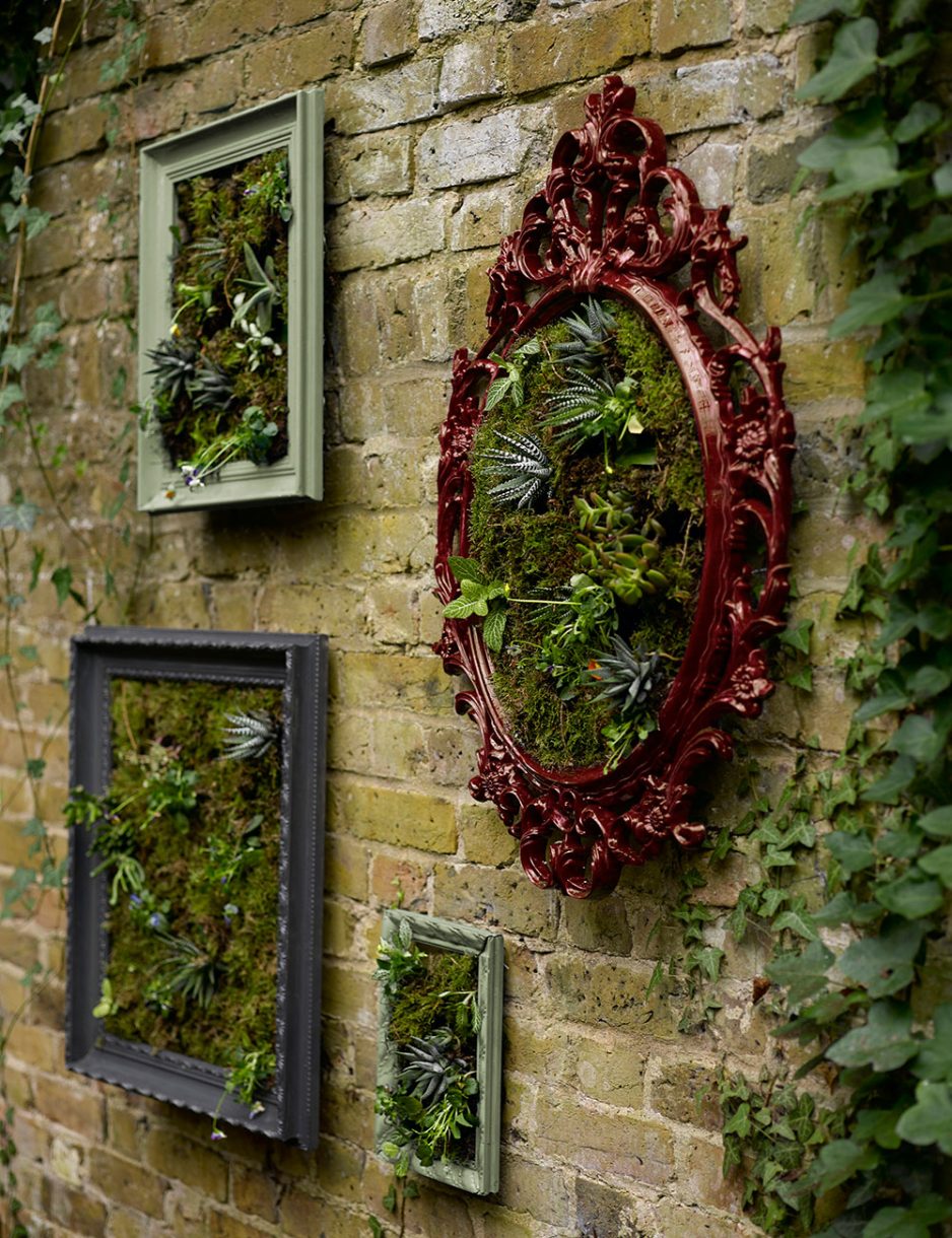 plants in picture frame