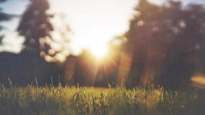 Get Your Garden Summer Ready