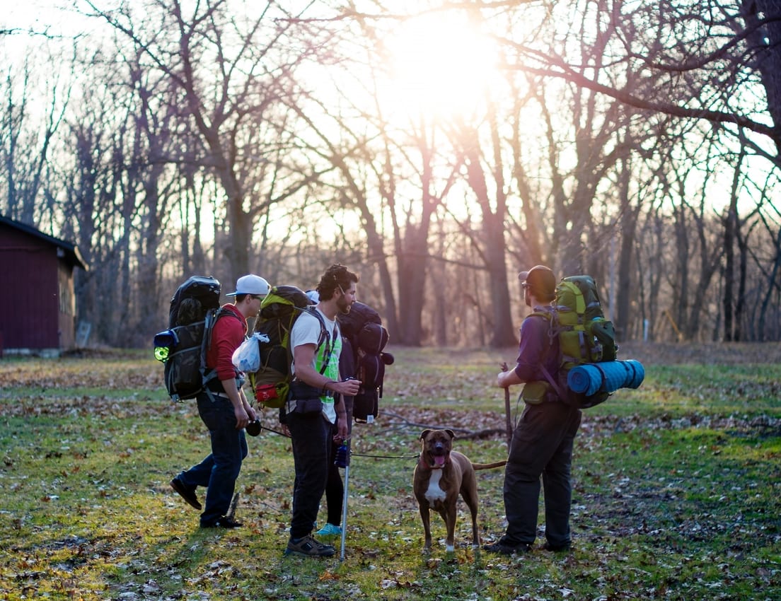 Top Dog Friendly Camping Tips