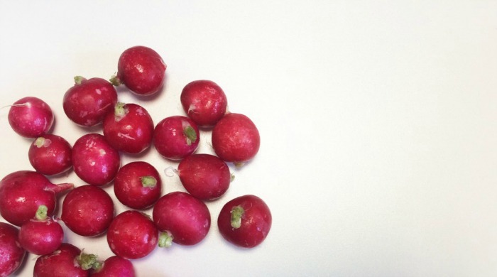 Radishes which are included in our cleansing radish juice diet recipe.