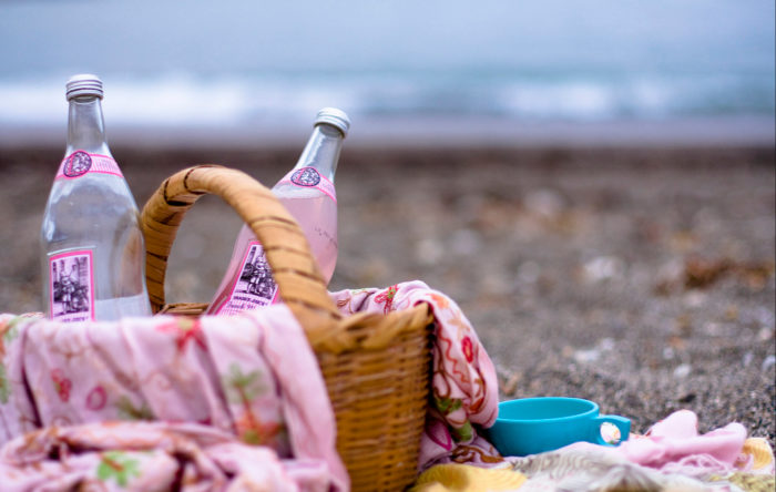 National Picnic Week: A Guide to Packing the Perfect Picnic