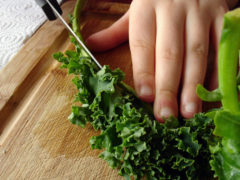Kale Five Superfoods to Power Your Life