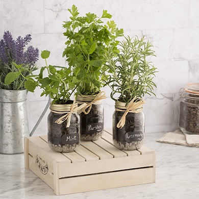 Kilner Herb Jars