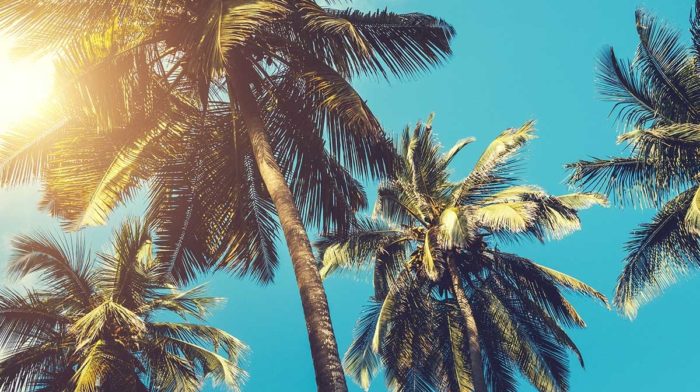Comment se préparer pour l'été?
