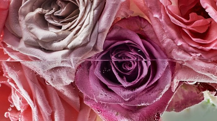 Produits à base d'eau de rose: quels bénéfices pour la peau ?