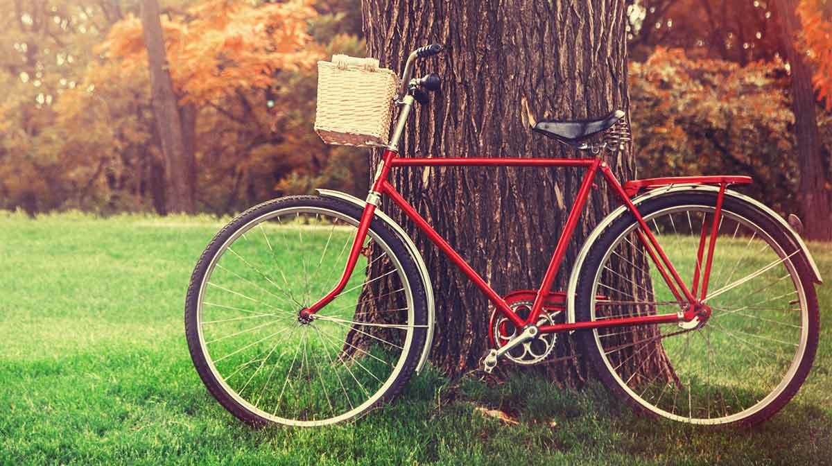 The Best Places To Go Bike Riding
