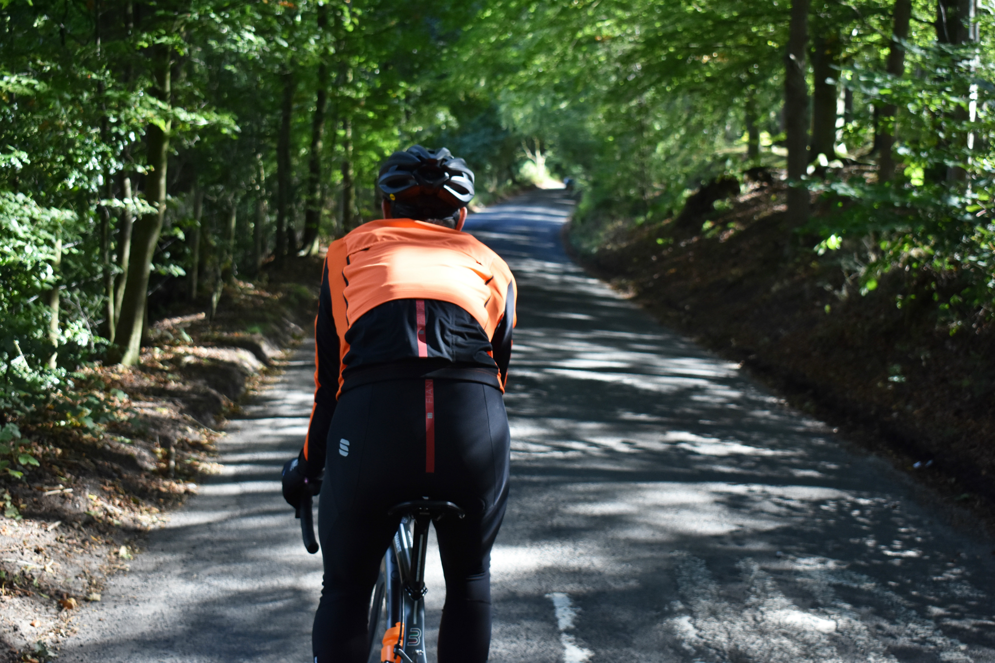 a shot of a cyclist from behind riding up a climb with trees either side