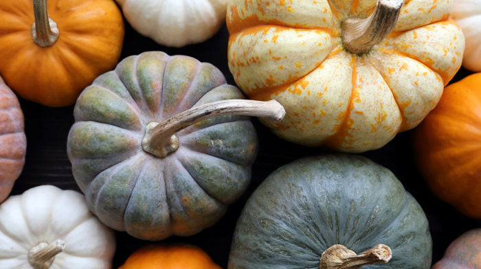 5 Pumpkin Infused Products You Need This Season