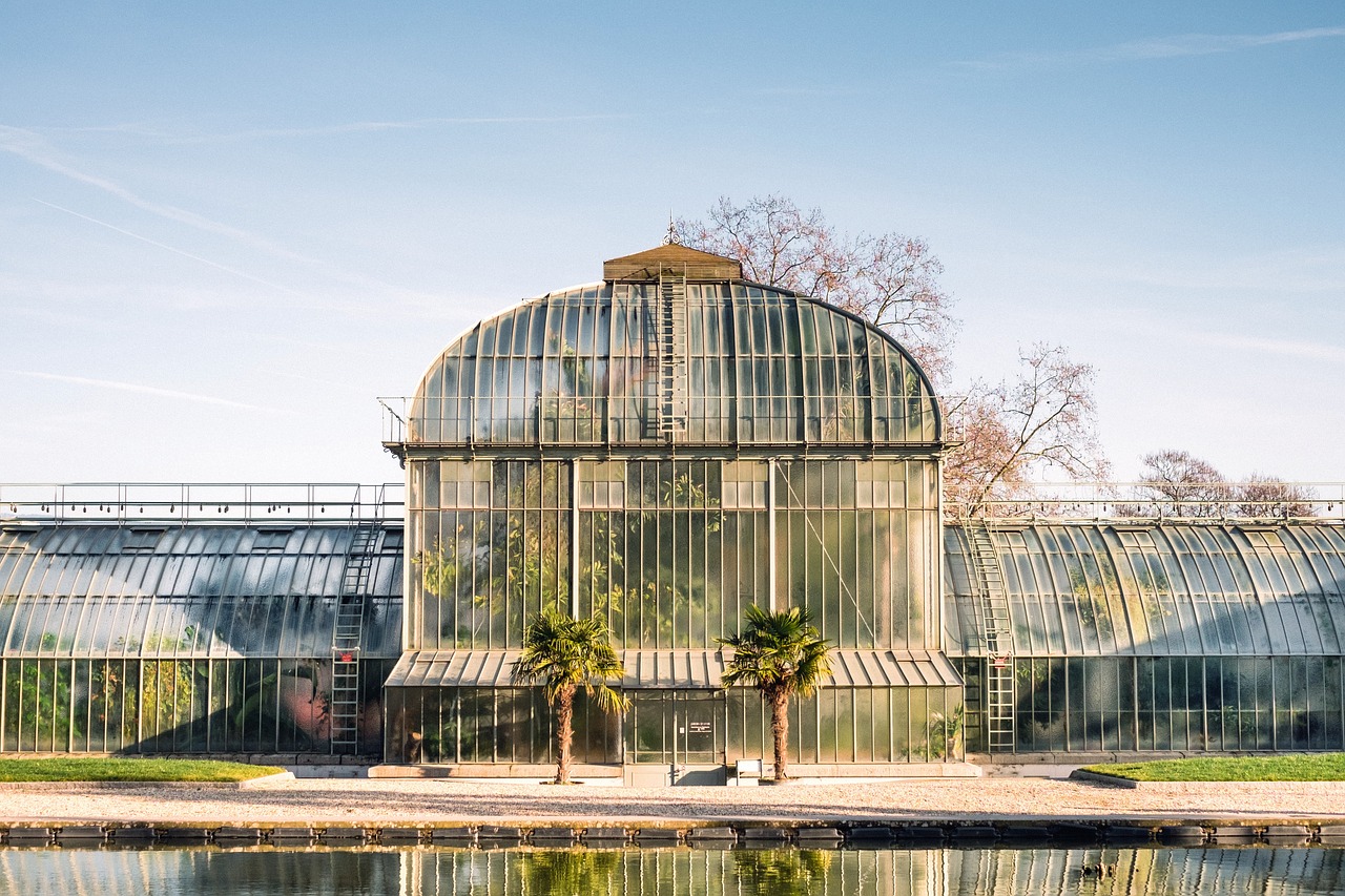 greenhouse for indoor plants