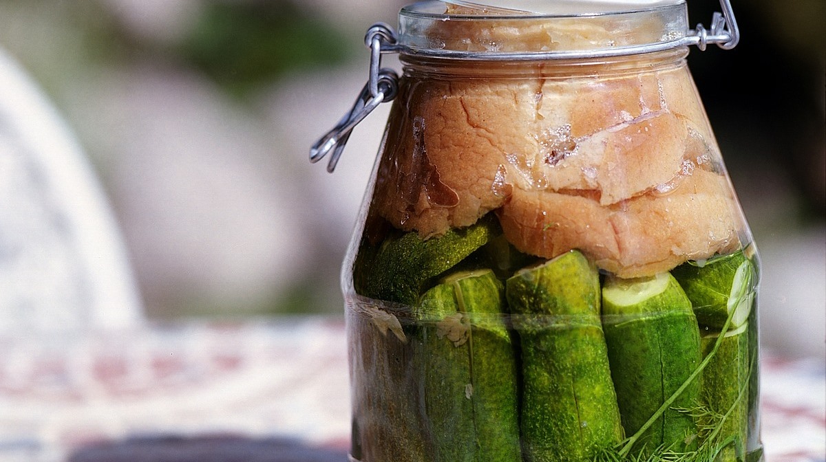 visible food fermentation in glass jar filled with pickles