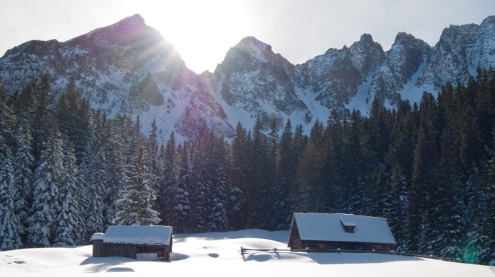 Explore: Scent From The Alps