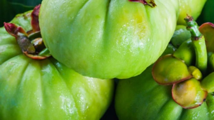 The Benefits of Garcinia Cambogia