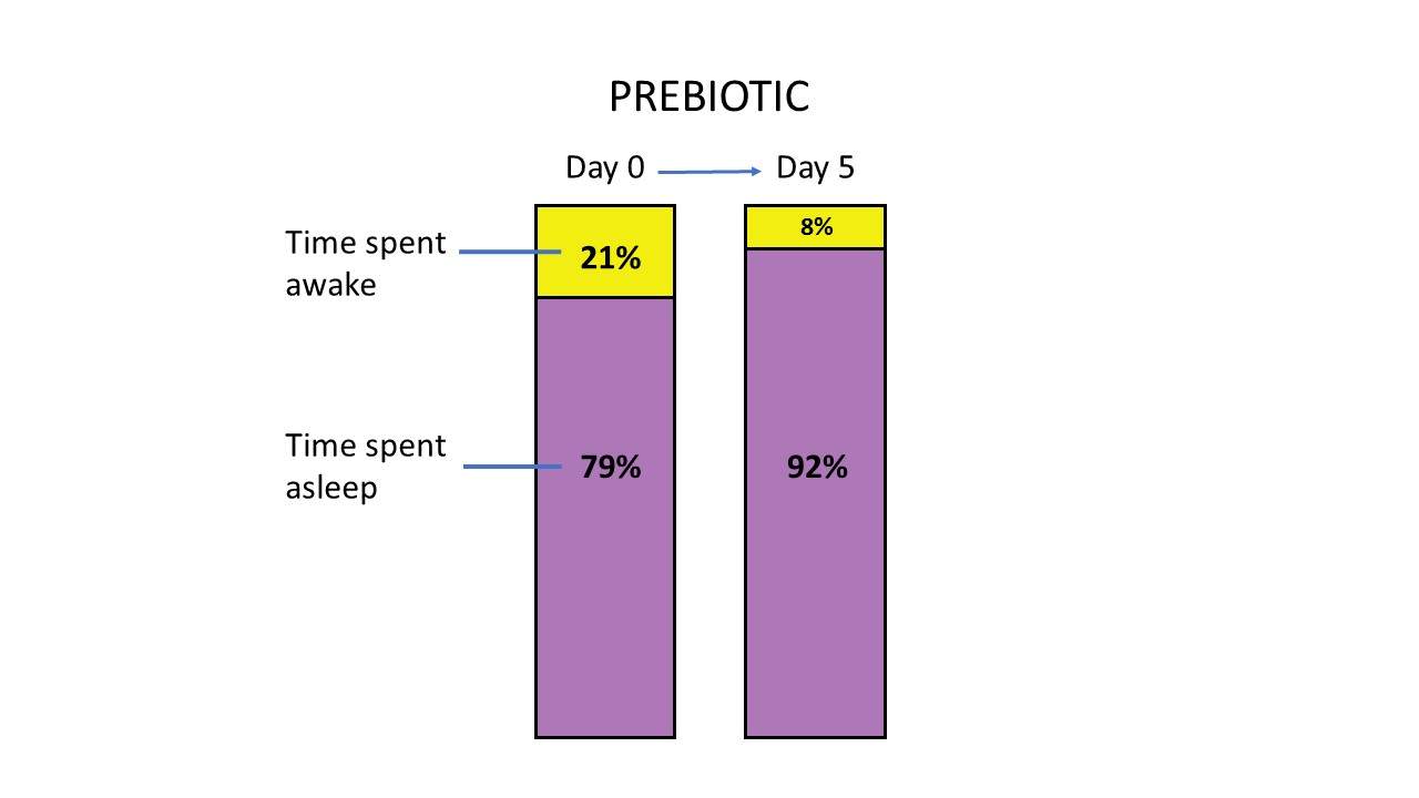 graphy to show the effects of prebiotics and sleep