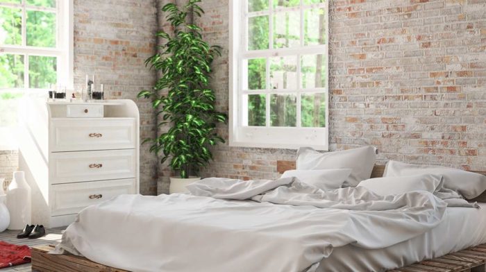 5 Plants To Help You Sleep Better