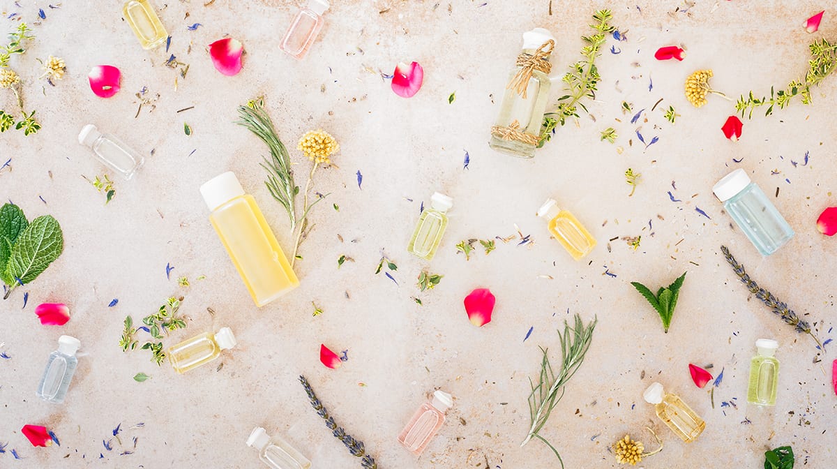 A Guide to the Best Essential Oils | Beauty Expert Blog