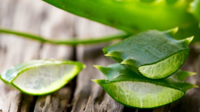 7 Benefits of Aloe Vera